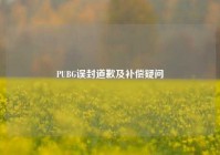 PUBG误封道歉及补偿疑问