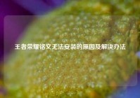 王者荣耀铭文无法安装的原因及解决办法