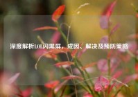 深度解析LOL闪黑屏，成因、解决及预防策略