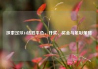 探索足球14场胜平负，开奖、奖金与足彩策略