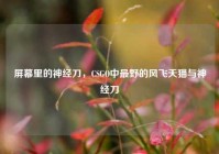 屏幕里的神经刀，CSGO中最野的风飞天猫与神经刀