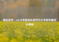崛起逐梦，LOL小笼堡战队探寻与小龙堡所属战队揭秘
