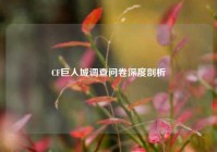 CF巨人城调查问卷深度剖析
