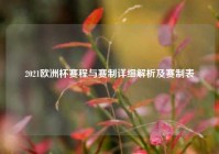 2021欧洲杯赛程与赛制详细解析及赛制表