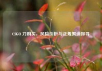 CSGO 刀购买，风险剖析与正规渠道探寻