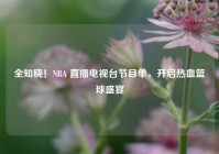 全知晓！NBA 直播电视台节目单，开启热血篮球盛宴