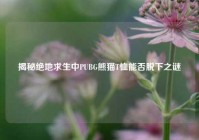 揭秘绝地求生中PUBG熊猫T恤能否脱下之谜