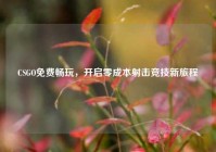 CSGO免费畅玩，开启零成本射击竞技新旅程