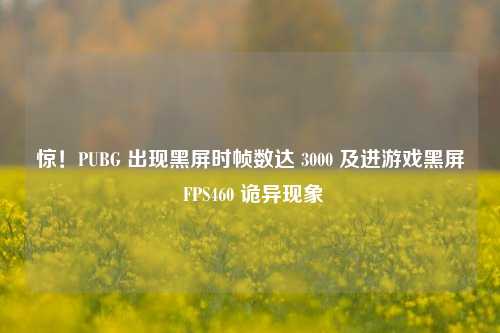 惊！PUBG 出现黑屏时帧数达 3000 及进游戏黑屏 FPS460 诡异现象
