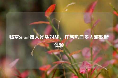 畅享Steam双人斧头对战，开启热血多人游戏新体验