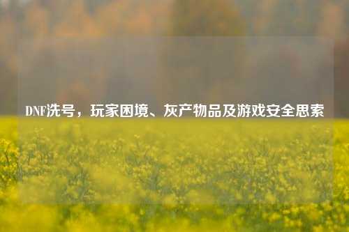 DNF洗号,玩家困境、灰产物品及游戏安全思索