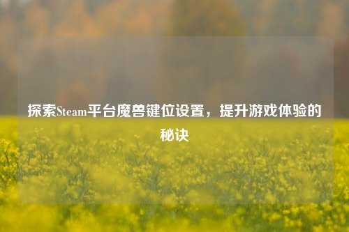 探索Steam平台魔兽键位设置，提升游戏体验的秘诀
