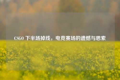 CSGO 下半场掉线，电竞赛场的遗憾与思索
