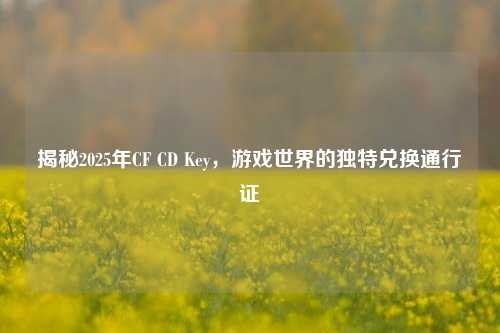 揭秘2025年CF CD Key，游戏世界的独特兑换通行证