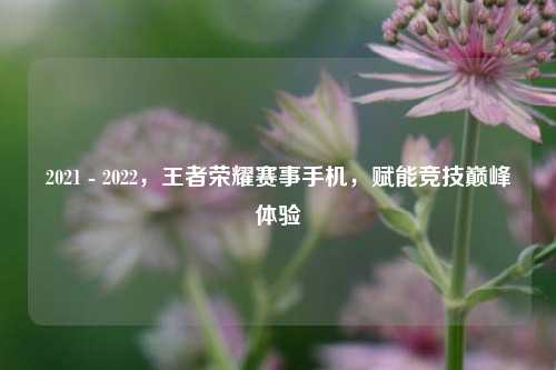 2021 - 2022，王者荣耀赛事手机，赋能竞技巅峰体验