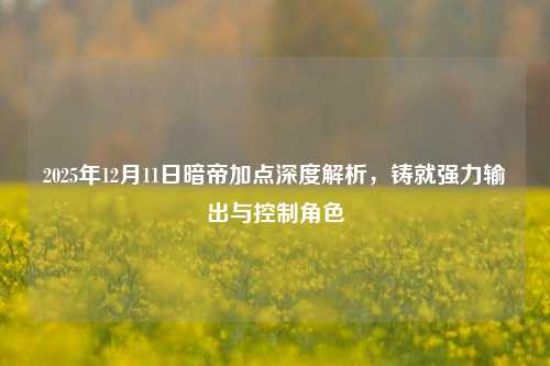 2025年12月11日暗帝加点深度解析，铸就强力输出与控制角色