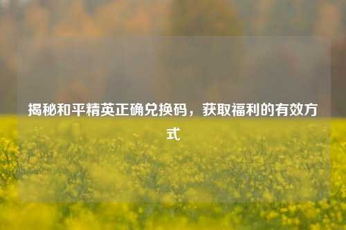 揭秘和平精英正确兑换码,获取福利的有效方式
