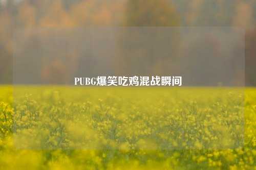 PUBG爆笑吃鸡混战瞬间