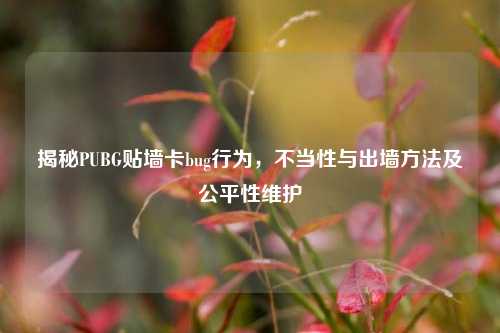 揭秘PUBG贴墙卡bug行为,不当性与出墙方法及公平性维护