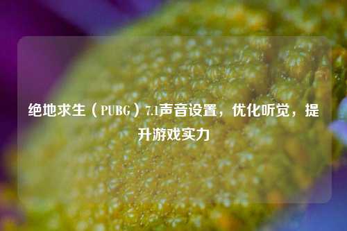 绝地求生(PUBG)7.1声音设置,优化听觉,提升游戏实力