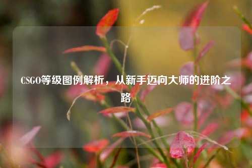 CSGO等级图例解析，从新手迈向大师的进阶之路
