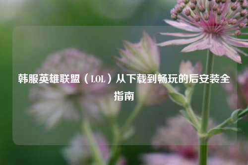 韩服英雄联盟（LOL）从下载到畅玩的后安装全指南