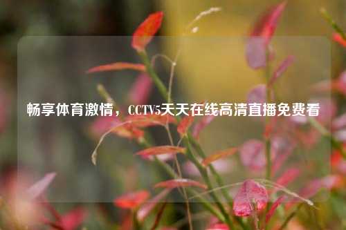 畅享体育激情,CCTV5天天在线高清直播免费看