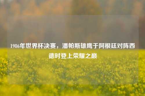 1986年世界杯决赛，潘帕斯雄鹰于阿根廷对阵西德时登上荣耀之巅