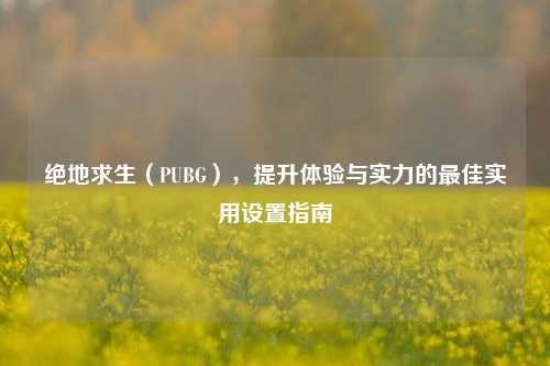 绝地求生(PUBG),提升体验与实力的最佳实用设置指南