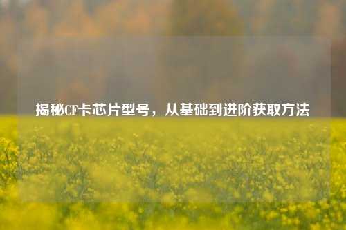 揭秘CF卡芯片型号,从基础到进阶获取方法