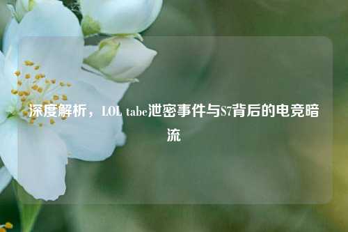 深度解析,LOL tabe泄密事件与S7背后的电竞暗流