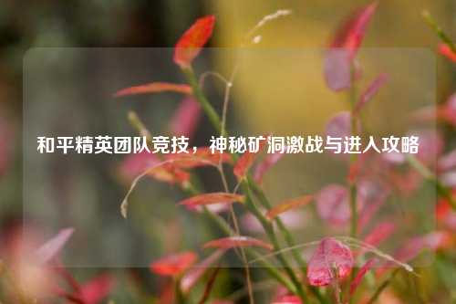 和平精英团队竞技,神秘矿洞激战与进入攻略