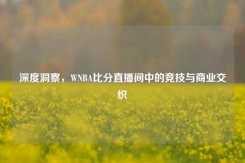 深度洞察,WNBA比分直播间中的竞技与商业交织