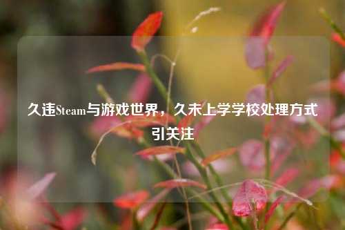 久违Steam与游戏世界,久未上学学校处理方式引关注