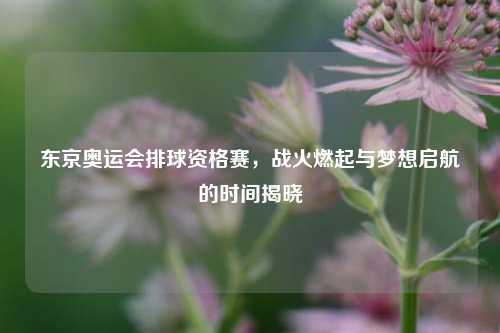 东京奥运会排球资格赛,战火燃起与梦想启航的时间揭晓