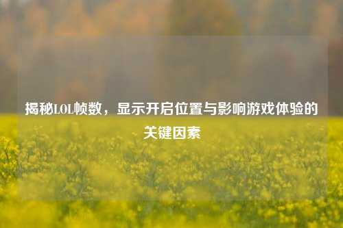 揭秘LOL帧数,显示开启位置与影响游戏体验的关键因素