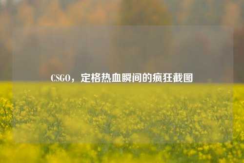 CSGO，定格热血瞬间的疯狂截图