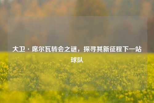 大卫·席尔瓦转会之谜，探寻其新征程下一站球队