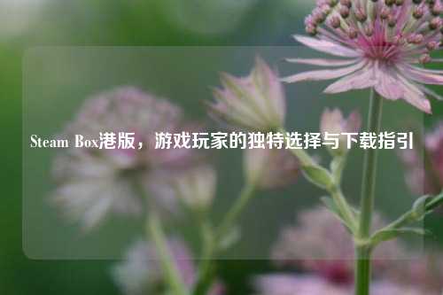 Steam Box港版,游戏玩家的独特选择与下载指引
