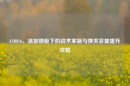 COD16,添加钢板下的战术革新与弹夹容量提升攻略