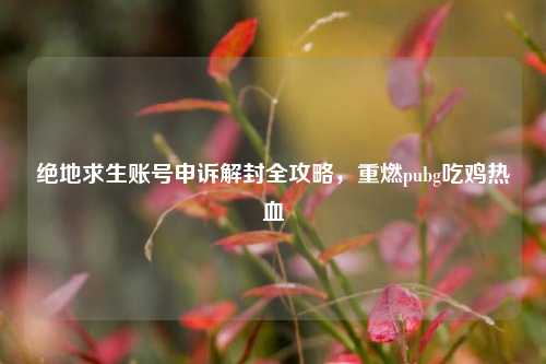 绝地求生账号申诉解封全攻略，重燃pubg吃鸡热血