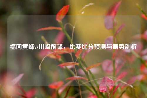 福冈黄蜂vs川崎前锋,比赛比分预测与局势剖析
