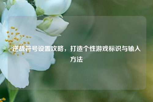 逆战符号设置攻略,打造个性游戏标识与输入方法