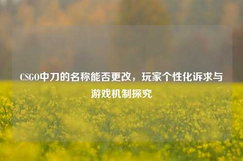 CSGO中刀的名称能否更改,玩家个性化诉求与游戏机制探究