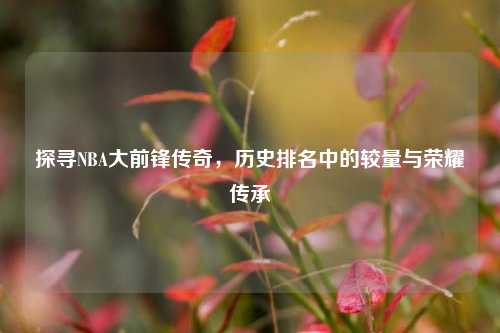 探寻NBA大前锋传奇,历史排名中的较量与荣耀传承