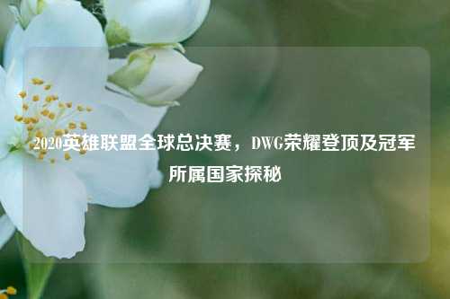 2020英雄联盟全球总决赛,DWG荣耀登顶及冠军所属国家探秘