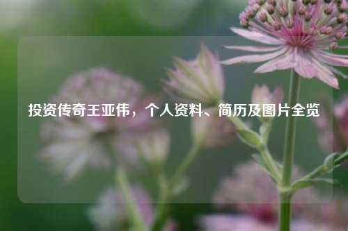 投资传奇王亚伟,个人资料、简历及图片全览