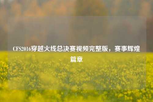 CFS2016穿越火线总决赛视频完整版，赛事辉煌篇章