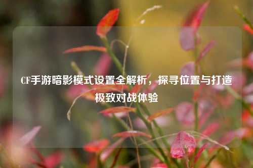 CF手游暗影模式设置全解析,探寻位置与打造极致对战体验