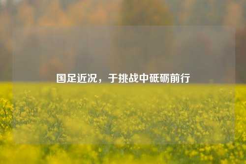 国足近况,于挑战中砥砺前行